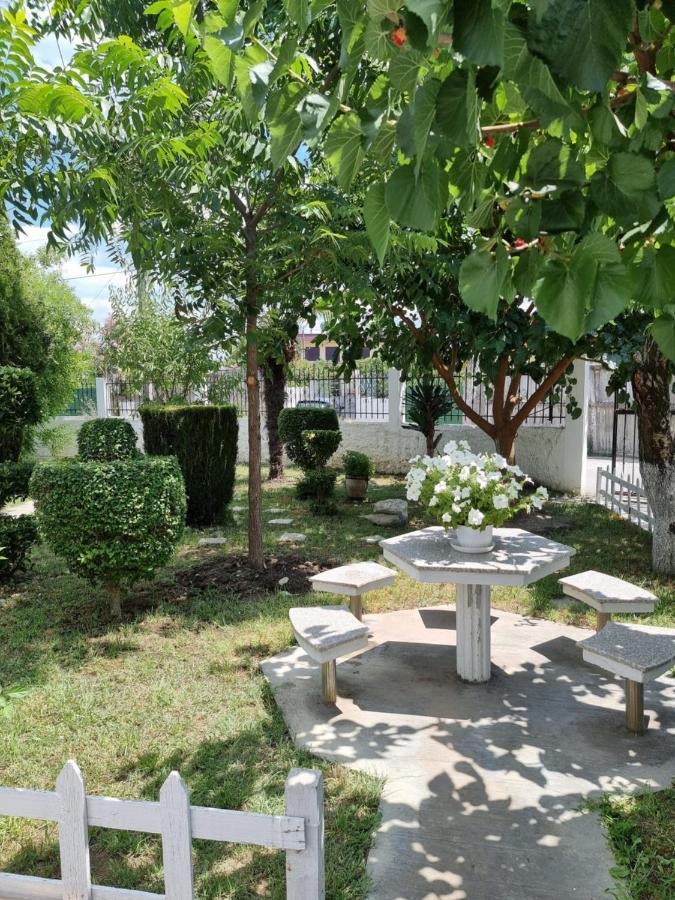 Guest House Vila Elezi دراس المظهر الخارجي الصورة