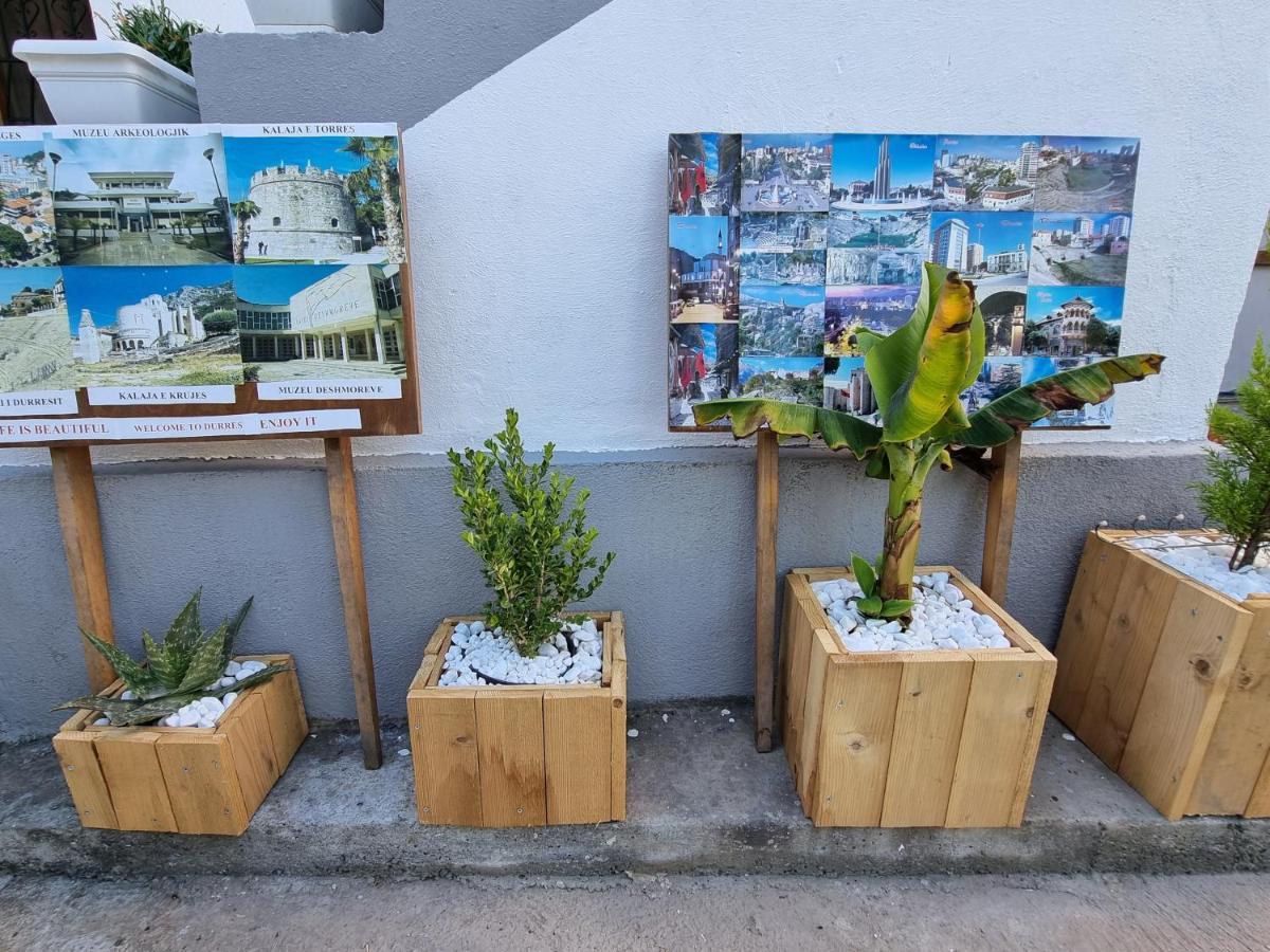 Guest House Vila Elezi دراس المظهر الخارجي الصورة